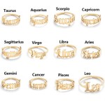 English Letter Constellation Ring Stainless Steel Ring Female Party Jewelry Gift