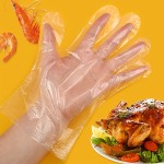 100pcs Disposable Gloves Plastic Gloves For Catering, Beauty, And Household Chores