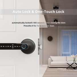 Smart Fingerprint Door Lock, Handle Biometric With App/IC Card/Key For Keyless Entry Lock Keypad Touchscreen Password