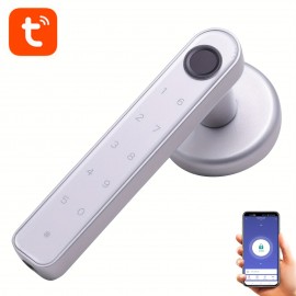 Fingerprint Smart Door Lock Biometric Door Lock With Handle Tuya App Control Keyless Smart Door Lock