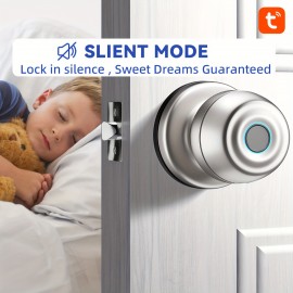 Smart Door Knob, Fingerprint Door Lock Smart Lock Biometric Door Lock Fingerprint Door Knob With App Control, Suitable For Bedroom, Cloakroom, Apartment Office, Hotel